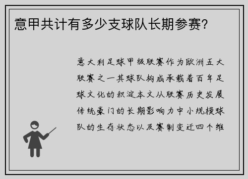 意甲共计有多少支球队长期参赛？