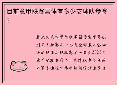 目前意甲联赛具体有多少支球队参赛？